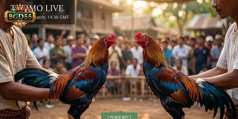 আধুনিক ডিজিটাল সম্প্রচার ব্যবস্থা